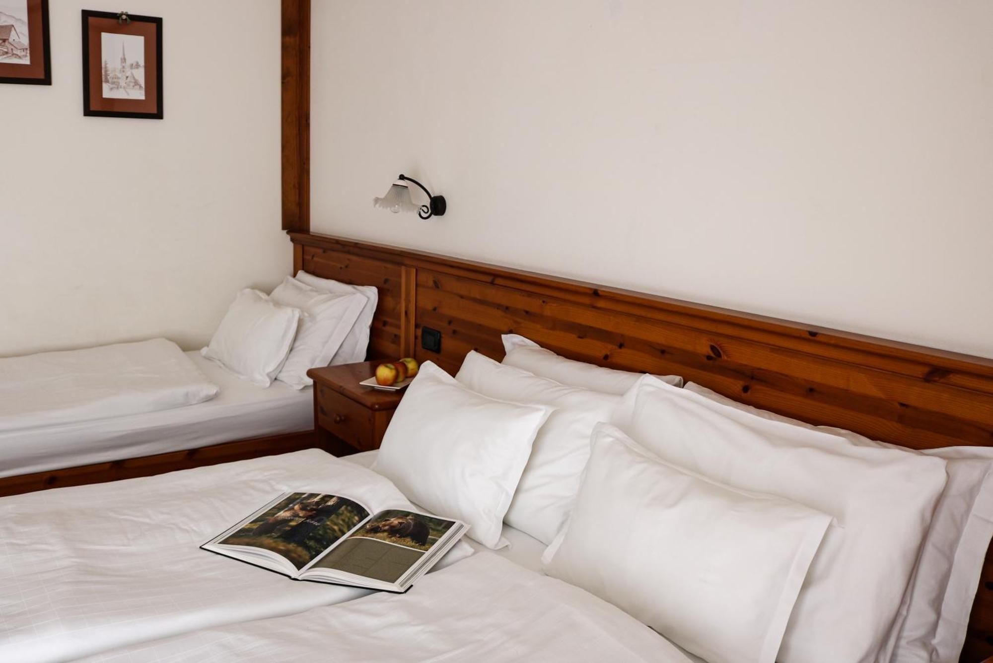 Hotel Garni Civetta Selva di Cadore Buitenkant foto